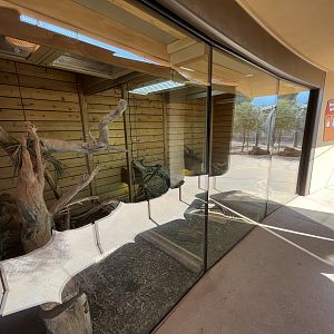 Australian Adventures - reptile exhibits