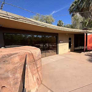 Bettong + Exhidna Exhibits