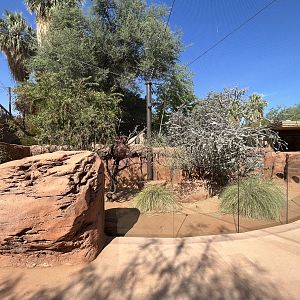 Australian Adventures - walk through area