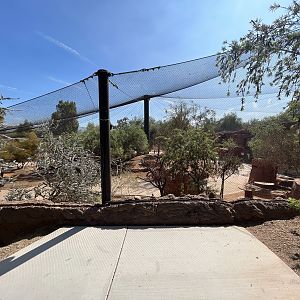 Australian Adventures - New in 2020