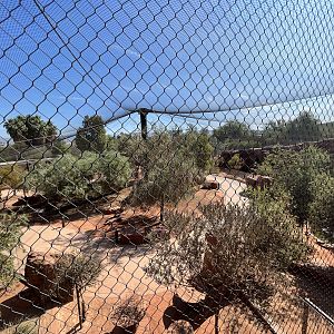 Australian Adventures - New in 2020