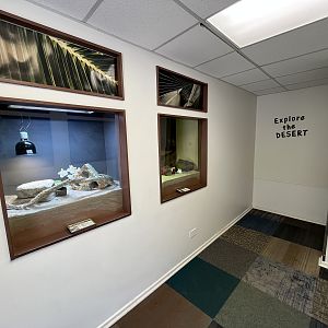 North American Reptile House