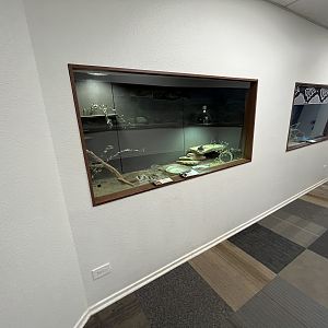 North American Reptile House