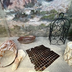 Red Diamond Rattlesnake Exhibit