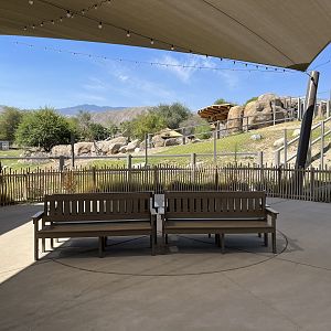 Rhino Savanna - New in 2021