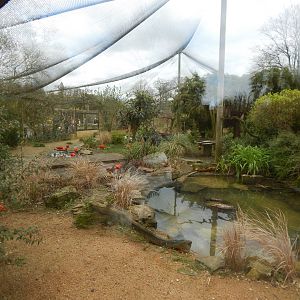 Former Walkthrough Aviary in Walled Garden 280423