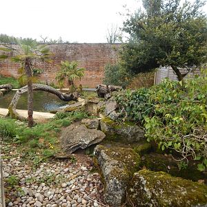 Asian small-clawed otter enclosure 280423