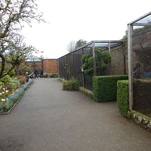 Walled Garden aviaries 280423