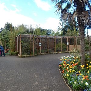 Aviary in Walled Garden 280423