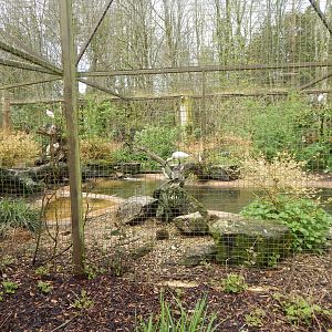Large wading bird aviary 280423