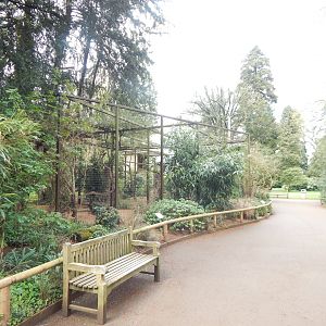 View towards Striated caracara aviary 280423