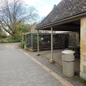 Sumatran Prevost's squirrel enclosure 280423