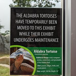 Aldabra tortoise sign