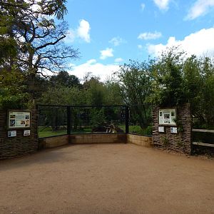 Giant anteater and Patagonian mara enclosure 280423