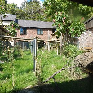 Nepalese red panda enclosure 150523