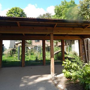 Nepalese red panda enclosure 150523