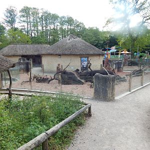 Meerkat enclosure 150523