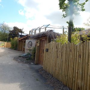 Tiger Tropics 150523