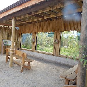 Tiger Tropics 150523