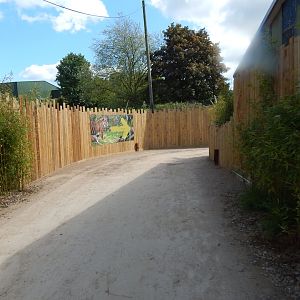 Tiger Tropics 150523