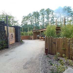 Tiger Tropics 150523