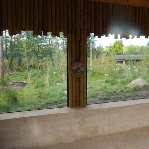 Tiger Tropics 150523