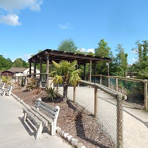 Viewing Point Common Hippopotamus enclosure 150523