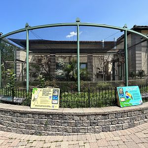 Toco Toucan & Red-legged Seriema Aviary (New in 2023)