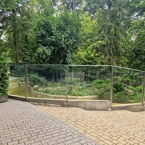 Eurasian Otter Exhibit