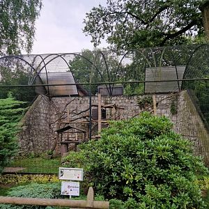 Red Panda exhibit