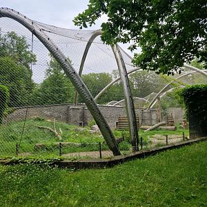 Siberian Tiger exhibit