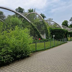 Row of Big Cat exhibits