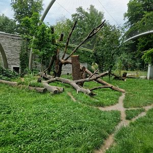 Black Jaguar Exhibit