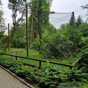 Japanese Crane exhibit