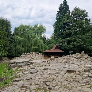 Barbary Sheep exhibit