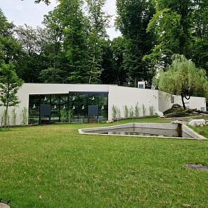 New Pygmy hippo facility