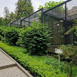 Birds of prey exhibits