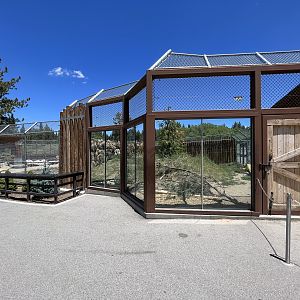 Black Bear Exhibit #1