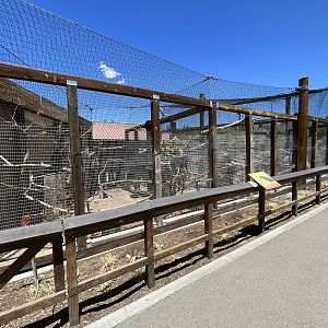 Raven/Crow/Turkey Vulture Aviaries