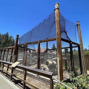 Raven/Crow/Turkey Vulture Aviaries