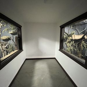 Nocturnal House - Ringtail Exhibit