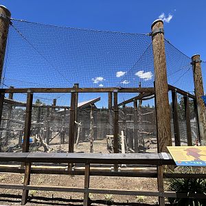Golden Eagle Aviary