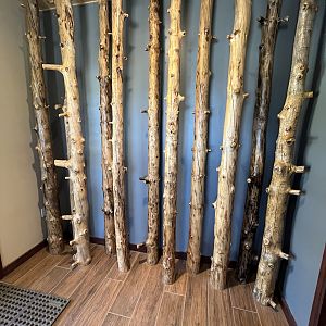 Gift Shop - tree wall