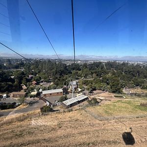 California Trail - 13-Acre American Bison Exhibit