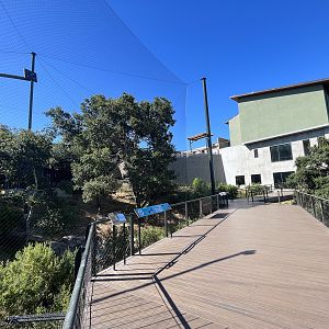 California Trail - Bald Eagle Aviary