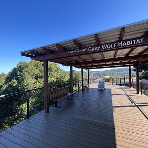 California Trail - Gray Wolf Exhibit
