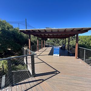 California Trail - Boardwalk
