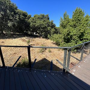 California Trail - Gray Wolf Exhibit