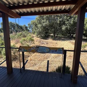 California Trail - Gray Wolf Exhibit