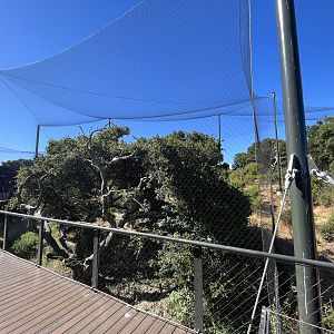 California Trail - California Condor Aviary
